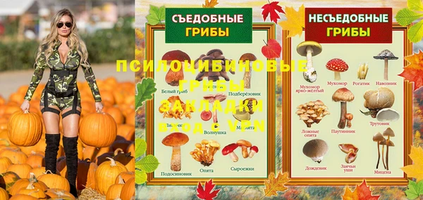 прущие грибы Нефтекумск