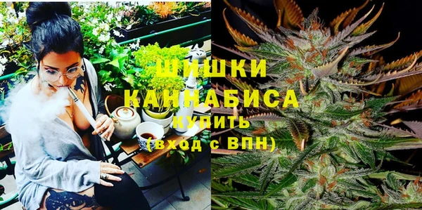 ГАЛЛЮЦИНОГЕННЫЕ ГРИБЫ Алзамай