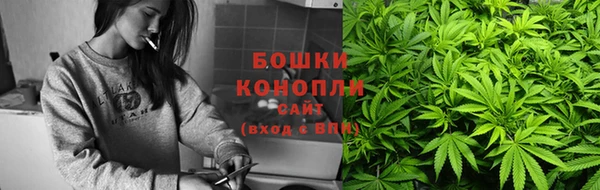 ГАЛЛЮЦИНОГЕННЫЕ ГРИБЫ Алзамай
